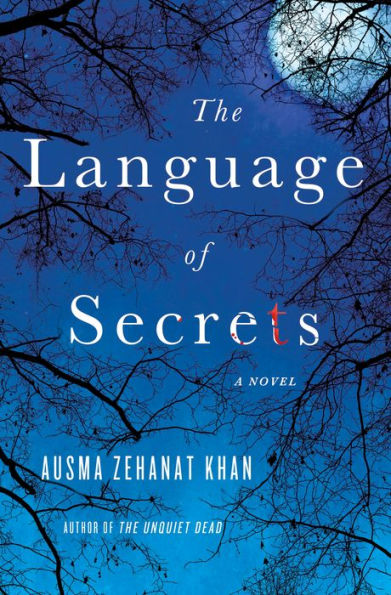 The Language of Secrets book cover